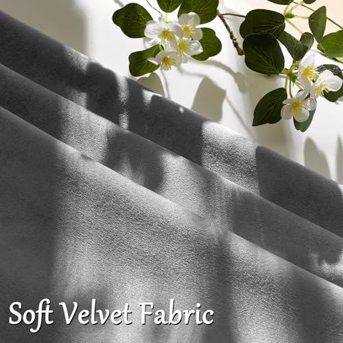 Dark Grey Velvet Throw Pillow Covers 20x20 Pack of 2 (Dark Grey / 20" x 20" (Pack of 2))