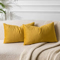 12x20 Lumbar Velvet Throw Pillow Covers Set of 2 (Gold / 20" x 12" (Pack of 2))