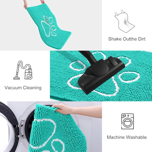 Dog Door Mat for Muddy Paws (30"X20" / Turquoise and White)