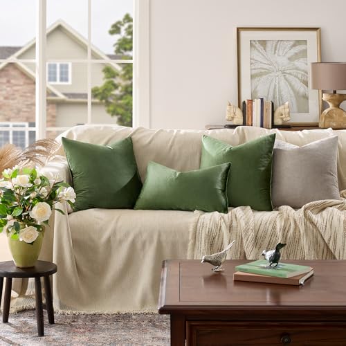 Olive Green Velvet Throw Pillow Covers 18x18 Pack of 2 (Olive Green / 18" x 18" (Pack of 2))