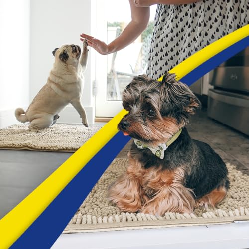 Super Absorbent Door Mat Indoor (Beige / 24" x 60")