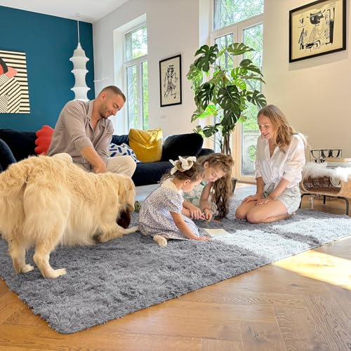 7x10 Machine Washable Large Area Rugs for Living Room (7x10 Ft / Light Grey)