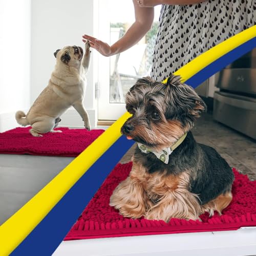 Super Water Absorbent Door Mat Indoor (Maroon / 24" x 60")