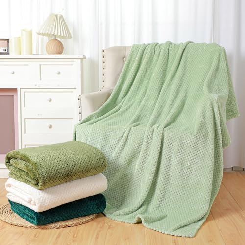 4 Pcs Fleece Throw Blanket (Gradient Green)