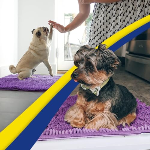 Super Water Absorbent Door Mat Indoor (Purple / 24" x 36")