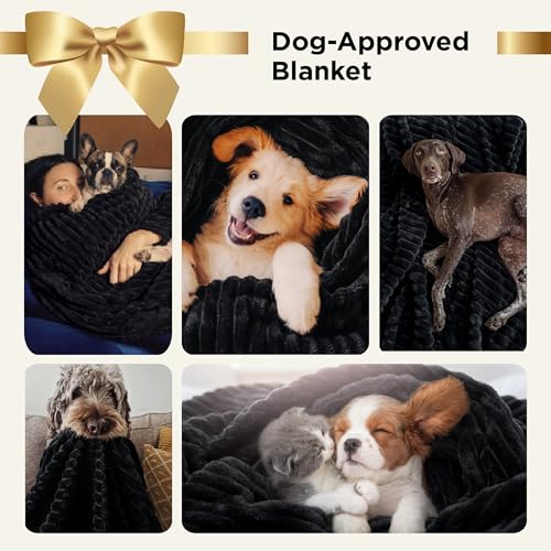 Soft Twin Blanket for Bed Decor Gifts Black 60"x80" (Black / Twin)