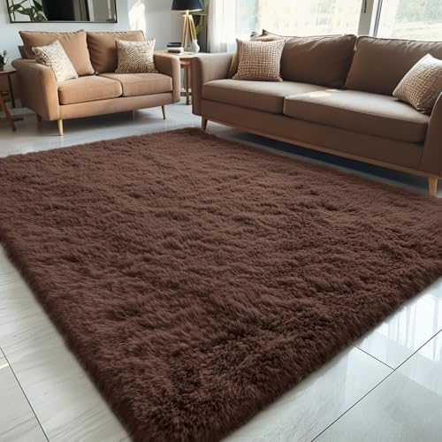 5x7 Machine Washable Large Area Rugs for Living Room (5x7 Ft / Coffee)