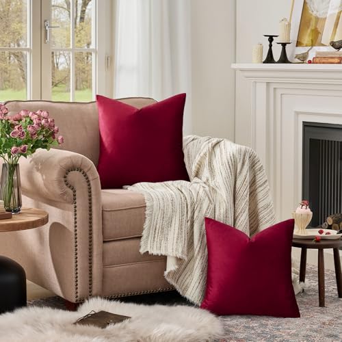 Burgundy Velvet Pillow Covers 20x20 Decorative Pillows Pack of 2 (Burgundy / 20" x 20" (Pack of 2))