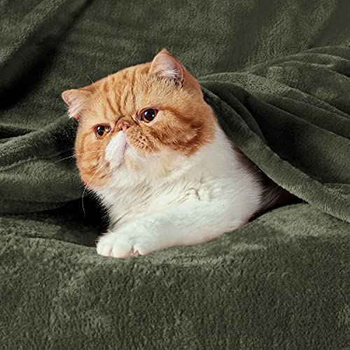 GentleSoft Fleece Blanket Twin Size Olive Green (Olive Green / Twin (60" X 80"))