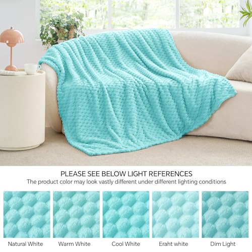 Aqua Twin Blanket for Couch (Aqua / Twin(60"x80"))
