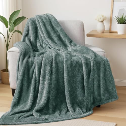Fuzzy Large Fleece Throw Blanket for Couch (Celadon / 50x70 IN)