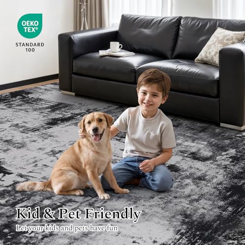 5x7 Area Rugs for Living Room (03-black Grey / 5' x 7' (Rectangular))