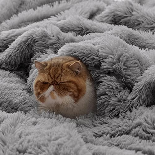 Faux Fur Fluffy Sherpa Throw Blanket Couch Twin Light Grey 60"x80" (10- Grey / Twin (60" X 80"))