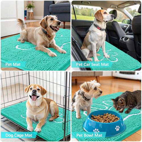 Dog Door Mat for Muddy Paws 30x20 (Teal / 30" X 20")
