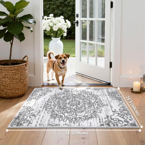 HEBE Indoor Door Mat 2'x3' (Grey / 2' x 3' (Rectangular))
