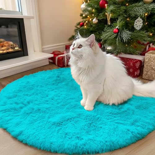 Teal Blue Round Rugs for Bedroom (3 Ft Round / Teal Blue)