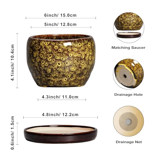 6 Inch Plant Pot (6 Inch / Leopard Yellow)