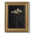 Vintage Gold Framed Wall Art (Dark Dried Wildflower / 10"L x 8"W)