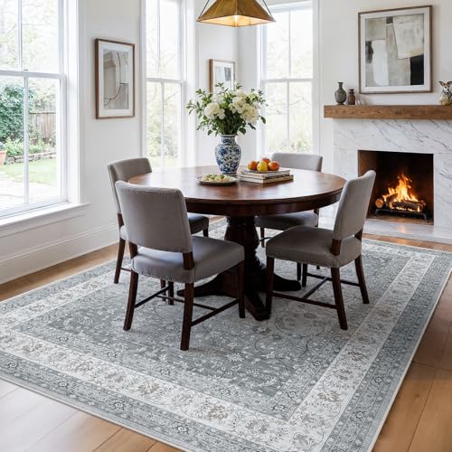 Amada 5x7 Washable Area Rug for Living Room (5' x 7' (Rectangular) / Silver/Gray)