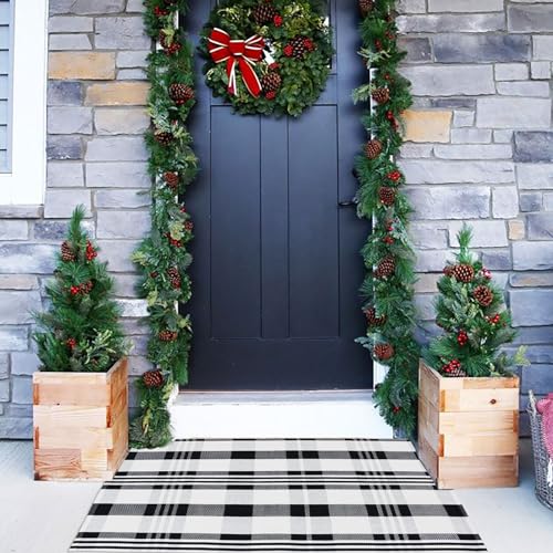 Fall Décor Plaid Rug (2'4" x 3'7" (Rectangular) / Black & White Plaid X)
