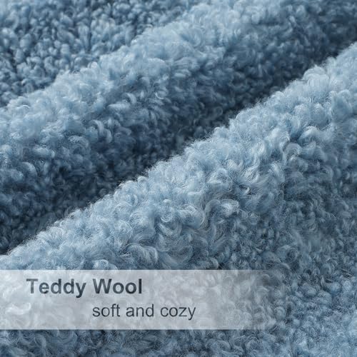 Sherpa Decorative Throw Pillow Covers 22x22 Set of 2 Light Blue (Light Blue / 22" x 22" (Pack of 2))
