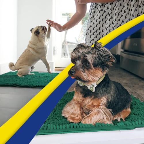 Super Water Absorbent Door Mat Indoor (Dark Green / 16" x 24")