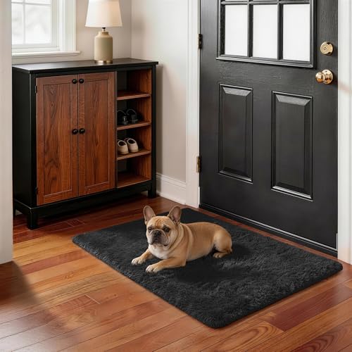 Small Black Entryway Throw Rugs for Bedroom (3- Black / 2' x 3' (Rectangular))