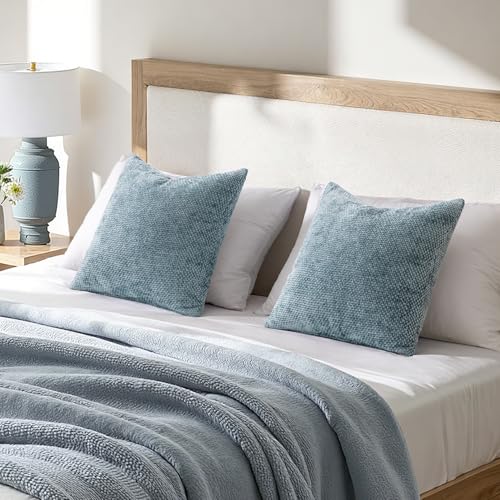 Decorative Couch Throw Pillow Covers 22x22 Inch Coastal Blue 2 Pack (22" x 22" (Pack of 2) / Coastal Blue)