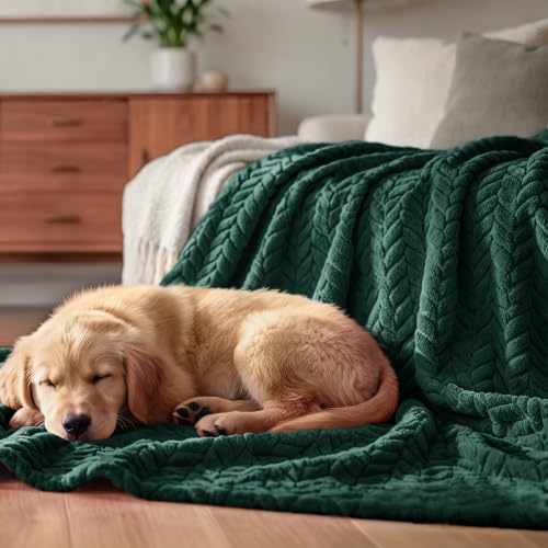 Fleece Throw Blanket for Couch Sofa (Forest Green / Throw ( 50x70 IN ))