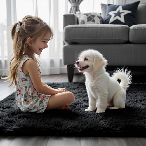 Small Shag Area Rug for Bedroom (Black / 2' x 3' (Rectangular))