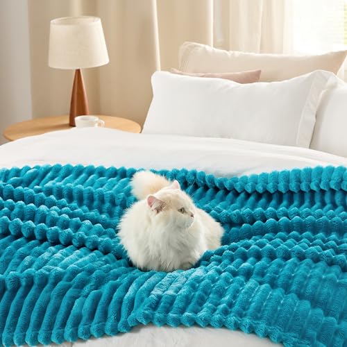 Soft Throw Blanket for Couch Decor Gifts Teal 50"x70" (Teal / Throw XL)