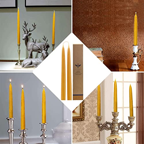10 inch Natural Beeswax Taper Candles Set of 12 (10 inch)