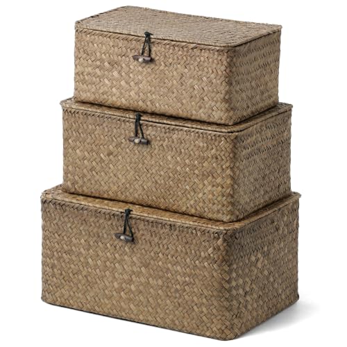 Wicker Storage Basket with Lid (Coffee* Set of 3)