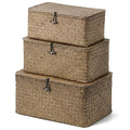 Wicker Storage Basket with Lid (Coffee* Set of 3)