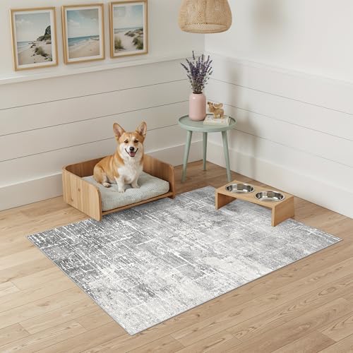 Abstract 2x3 Entryway Area Rugs (2' x 3' (Rectangular) / Light/Grey)