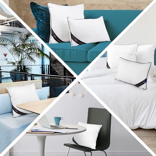 18x18 Throw Pillow Inserts (18x18 Inch)