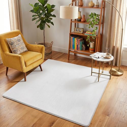 4x4 Square Area Rugs for Bedroom Living Room (4' x 4' (Square) / White)