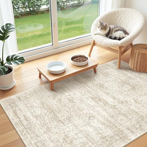 3x4 Rugs for Entryway (Beige/Ivory / 3' x 4' (Rectangular))