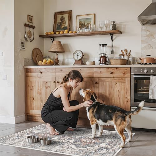 2x4 Washable Kitchen Runner Rug (2x4 / Brick)