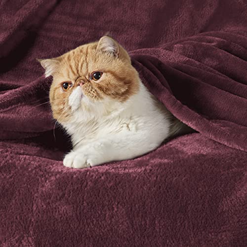 GentleSoft Fleece Blanket Twin Size Red (Burgundy Red / Twin (60" X 80"))