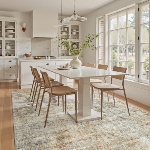 Abstract Area Rug 6x9 for Living Room Washable Rugs Orange (Orange/Brown / 6' x 9' (Rectangular))