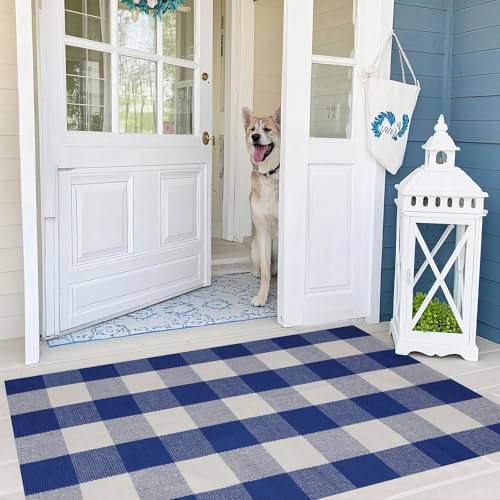 Buffalo Plaid Outdoor Rug 27.5x43 Blue and White Front Door Mat (Blue and White Plaid / 2'3" x 3'7" (Rectangular))