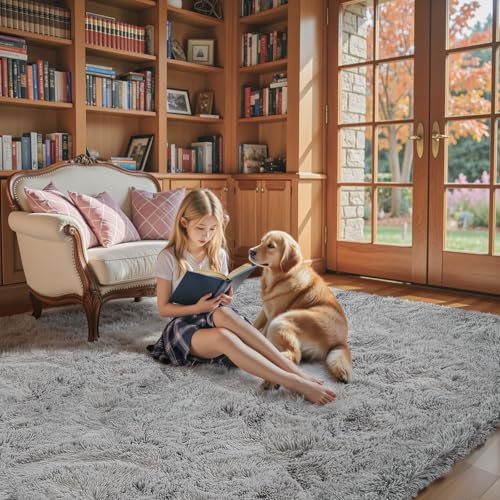 8x10 Area Rugs for Living Room (Light Grey / 8' x 10' (Rectangular))