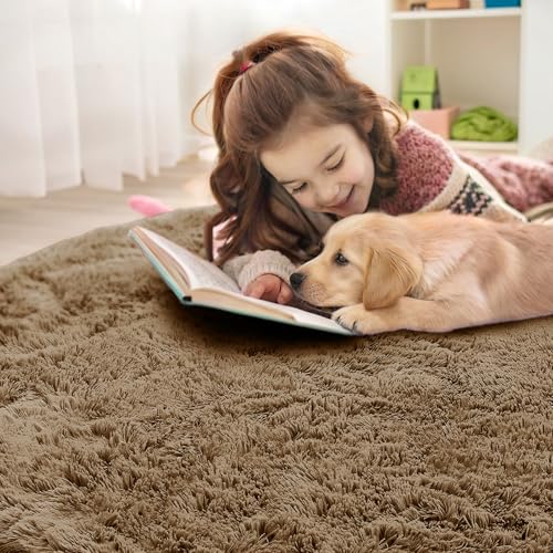 Taupe Round Rugs for Bedroom (3 Ft Round / Taupe)