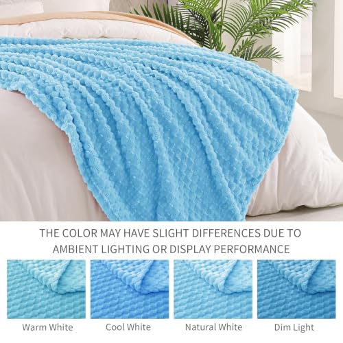 3D Fleece Twin Size Blanket for Bed (Blue / Twin ( 60x80 IN ))