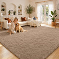 6x9 Shag Area Rug for Living Room (Beige / 6' x 9' (Rectangular))