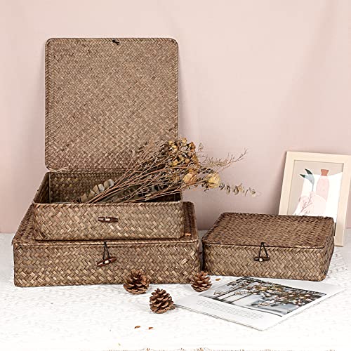 Set of 3 Flat Wicker Basket Bins with Lid (Small+Large+X-Large / Coffee)