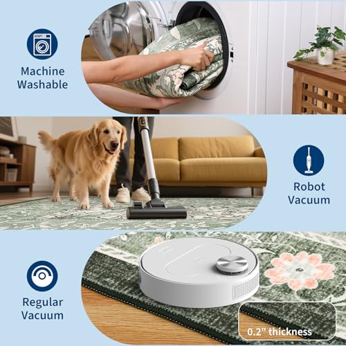 Area Rug (Sage Grove / 10' x 14' (Rectangular))