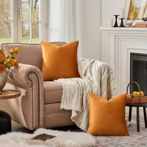 Orange Velvet Pillow Covers 18x18 Decorative Pillows Pack of 2 (Orange / 18" x 18" (Pack of 2))
