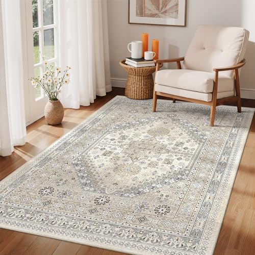 3x5 Rug for Entryway (Beige/Grey / 3' x 5' (Rectangular))